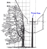 Tree Side Trim Grid Drawing