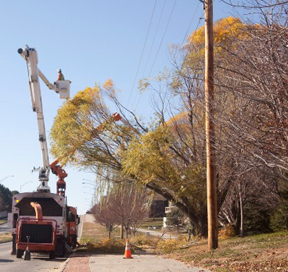 Tree V Trim Boom Truck Med Size