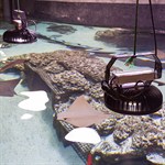 Building Conservation