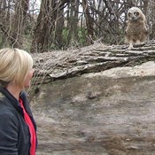 Avian Protection Plan