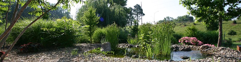 Arboretum